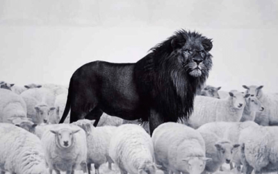 Great Leaders Challenge the Status Quo
