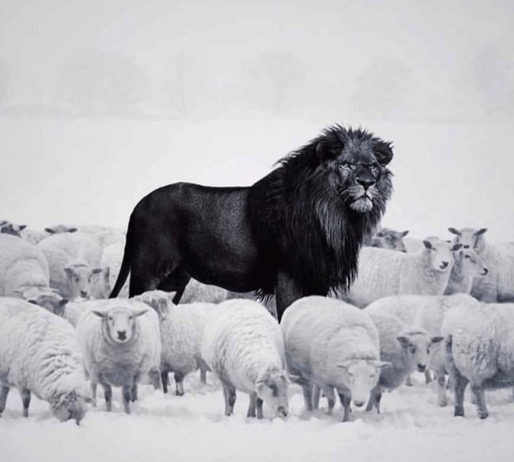 Great Leaders Challenge the Status Quo