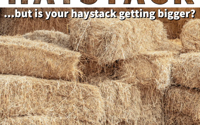 Finding Talent is Already Like Finding a Needle in a Haystack…But is Your Haystack Getting Bigger?